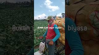 Download lagu Bukan kaleng-kaleng ni bos #ojek sayur #ojek extrime #ojeklambar #extrime #ojek kubis #ojek barbar mp3