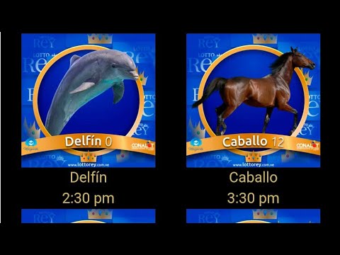 ANIMALITOS DE LA GRANJA #LOTTO ACTIVO #GRANJITA Y SELVA #2026 LIDERES EN ACIERTOS