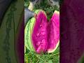 Chinese Amazing Watermelon Fruit Shorts Fyp Fypシ Chinese