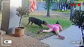200 COISAS INCRÍVEIS GRAVADAS PELAS CÂMERAS. O MELHOR DO MÊS