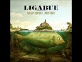 La linea sottile - Ligabue 