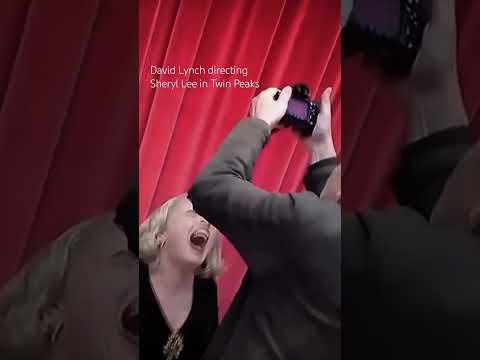 MISSION : COMPRENDRE DAVID LYNCH