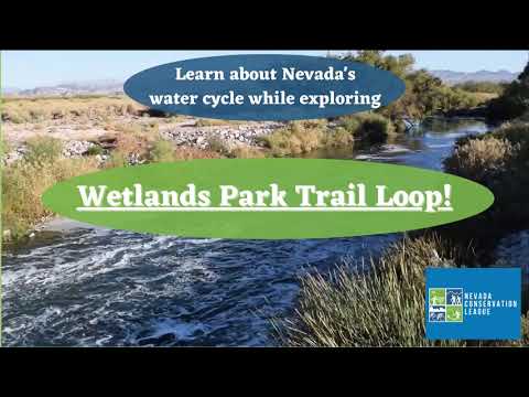 Wetland Trail Video