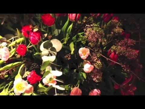 Tulpaner tips stå länge - 5 snabba tulpantips - så här håller du dem färska och frasiga länge!