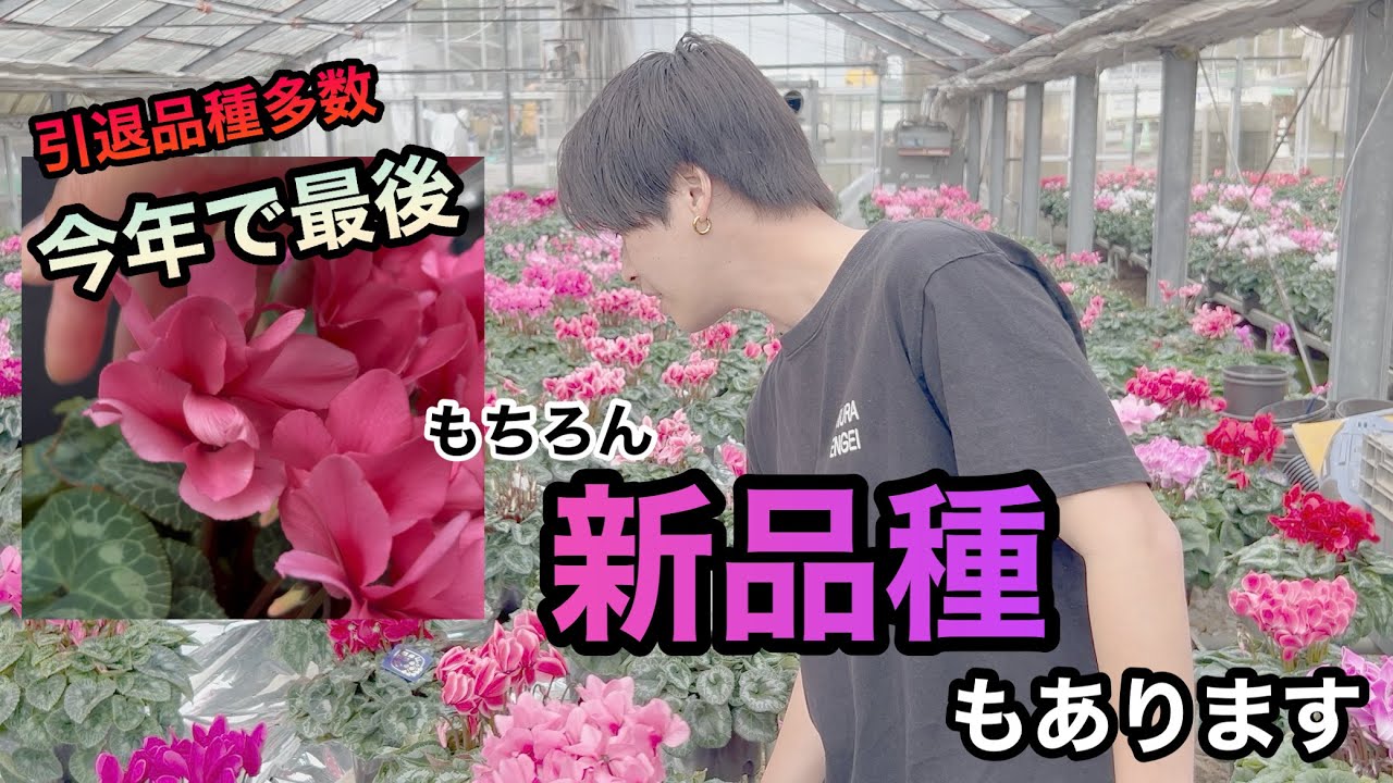 【生産者が泣いて手放す、今年最後の美株多数】定番の人気株も一挙公開！