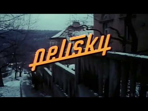 Tu kytáru jsem koupil kvůli tobě...