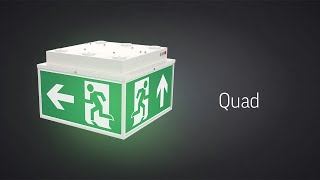 Световой указатель "ВАРТОН" Quad серии Advanced 6W IP20/IP65 3ч Teletest