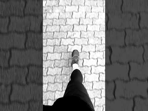 Pound 4 pound #shortsvideo #music #shortsvideo #fight #mmafighter #shortsong #song #shortsyoutube