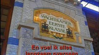 Guus Meeuwis -  Per Spoor ( KARAOKE ) Lyrics ( kedeng kedeng)