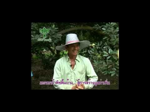 การวินิจฉัยแยกโรคกับ neurodermatitis พยาธิและโรคสะเก็ดเงิน
