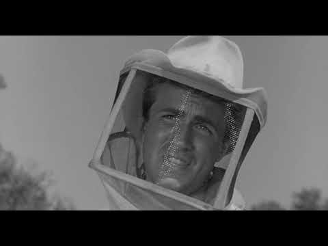 The Wasp Woman 1959 by Roger Corman HD