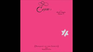John Zorn: Caym - Tahariel (The Book Of Angels vol. 17)