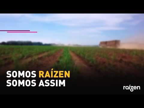 Somos Raízen