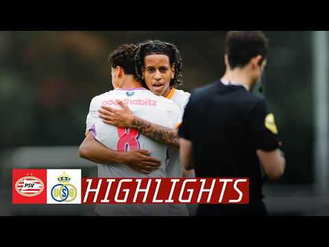 bg-highlight