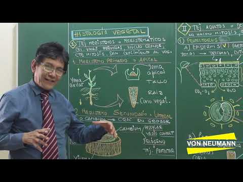 HISTOLOGIA VEGETAL - PARTE 01