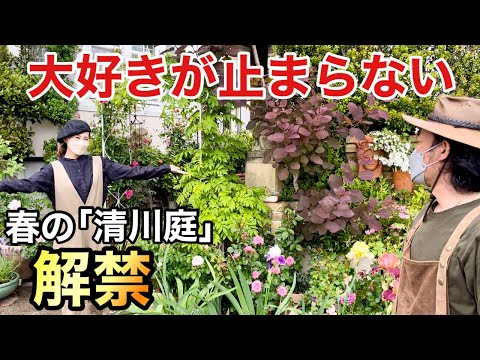 庭のカレンダー: いつ庭で何をしますか?