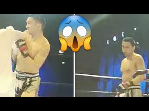 Tai Chi Master vs Kickboxer