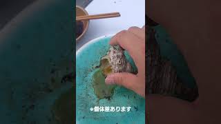【簡単】サザエの出し方