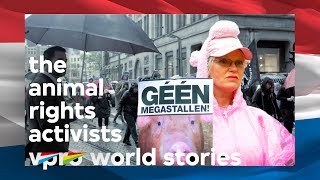 Anthropology of the Dutch: The animal rights activists