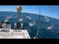 INSANE Tuna on a FLOATING Oil Rig (4000 ft Deep) How To Catch (C&C)