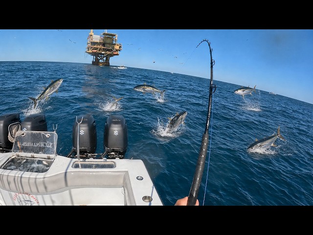 INSANE Tuna on a FLOATING Oil Rig (4000 ft Deep) How To Catch (C&C)