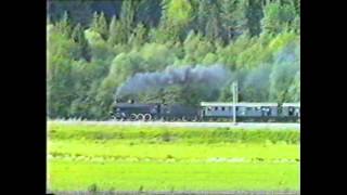 preview picture of video 'Treno a vapore Udine-Villach del 1989 - parte 6ª'