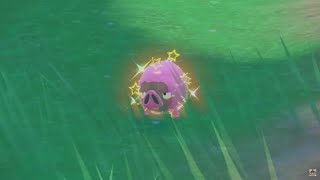 【ポケモンSV】発売後3時間で色違いを捕まえてしまう反応動画投稿者（生放送切り抜き）