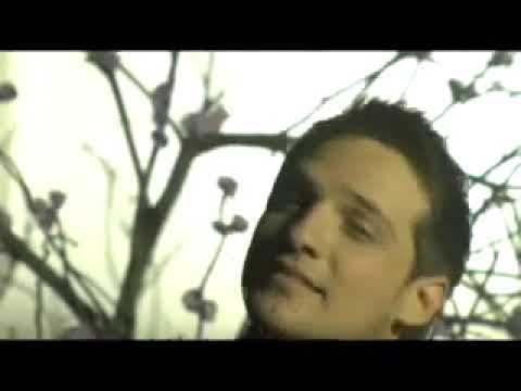 VOS VEIS - PEDACITO DE TU QUERER