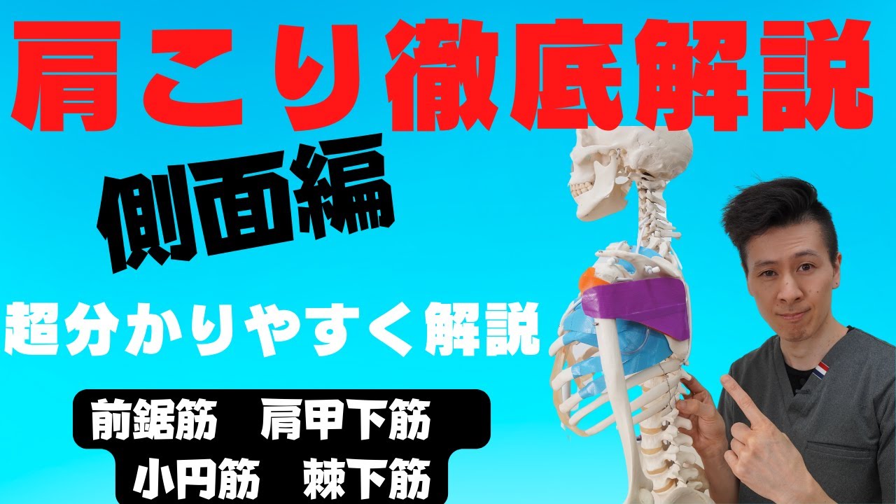 【肩こり　徹底解説　側面編 】