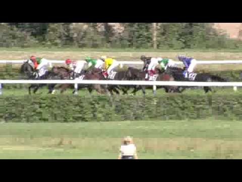 2015.09.13 Grand Prix Land Rover – Jockey Club (SWI) - Lateran Accord