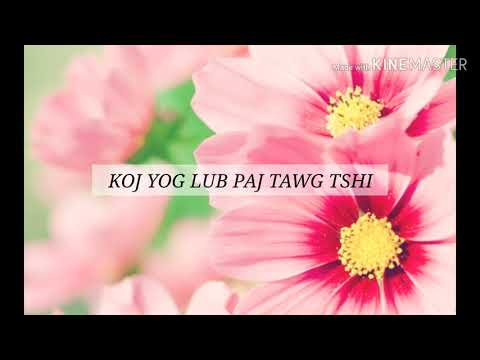 Koj Yog Lub Paj Tawg Tshiab - Tsua Muas