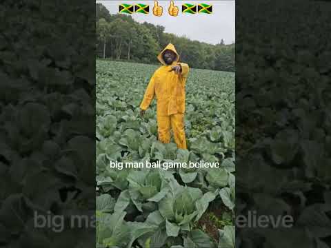 Working on the farm program not easy #jamaica #shortvideo #viral