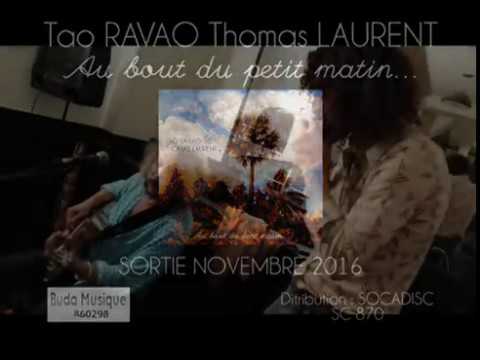 Tao RAVAO Thomas LAURENT - Count Zebra