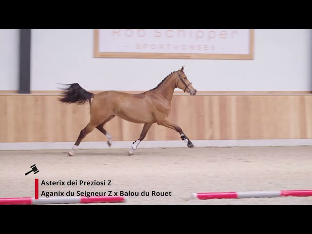 Asterix dei Preziosi Z