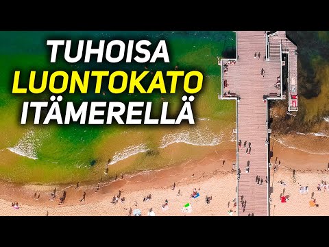 SUOMEN MERILUONTO KÖYHTYY VAARALLISTA VAUHTIA, MIKÄ AVUKSI?