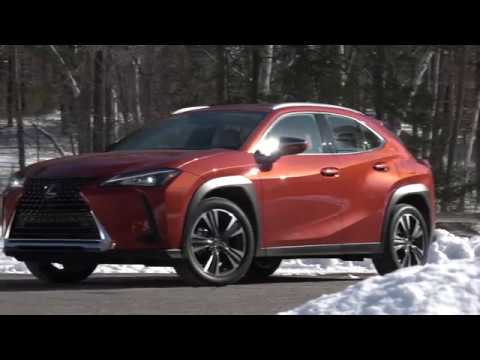 2019 Lexus UX | All Show, No Go? | TestDriveNow