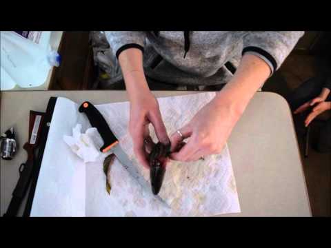 10 Second (2 minute) Perch Cleaning