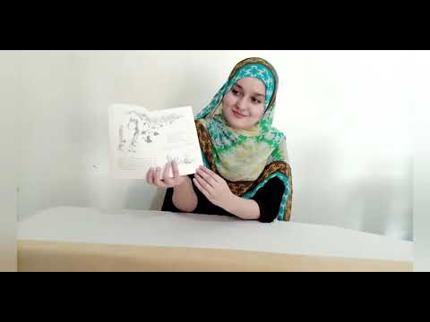 #DailyStoriesWithFaryalRauf #KidStories #RoaldDahl FANTASTIC MR FOX 🦊 by ROALD DAHL