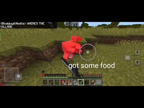 lifesteal smp but worse be like: