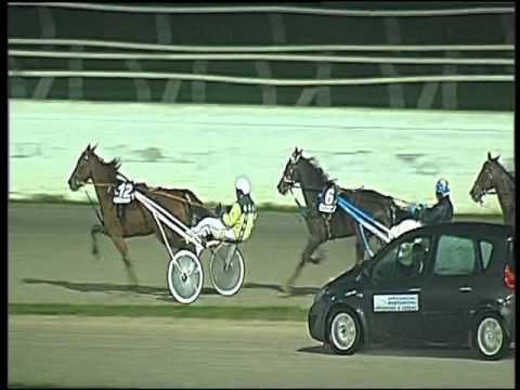 Trotto 26/11/2015 - 5° corsa