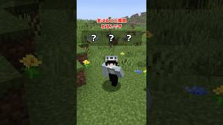 ワールドのどこでも聞こえる音は何種類？【マイクラ】