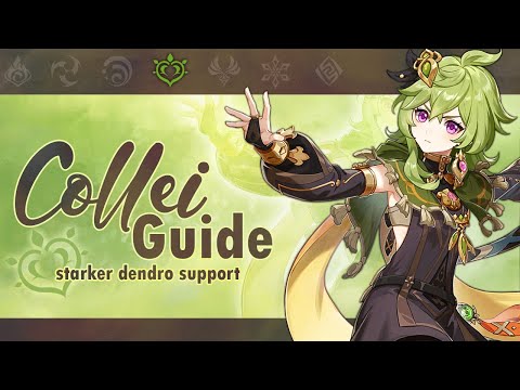 COLLEI GUIDE! | Die Besten Builds, Teams, Artefakte und Waffen! | Genshin Impact 3.0 | deutsch