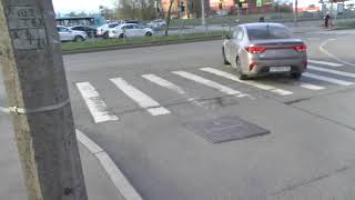 Система серых камер, типа интеллект, по причине бездействия дирекции, комите