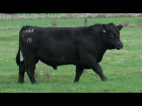 Lot 20  SEVEN HILLS V22 PV