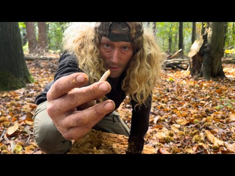 Eating grubs collecting firewood and story time 