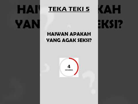 8) TEKA TEKI 5