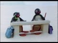 Pingu Pingu S Admirer