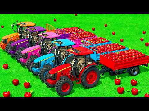 LOAD AND TRANSPORT APPLES WITH JOHN DEERE TRACTORS & HARVEST SUGARCANE – Farming Simulator 25