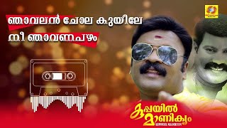 Download lagu NJAVALAN CHOLA KUYILE/ഞാവലൻ ചോല കുയിലേ with lyrics Manithamara Kuppayiley manikkam, Nadan Pattukal mp3