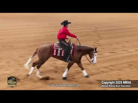 All Twos Douglas Noveti De Oliveira 2025 NRHA Futurity Open L1 Go 1 Leader - 219.5